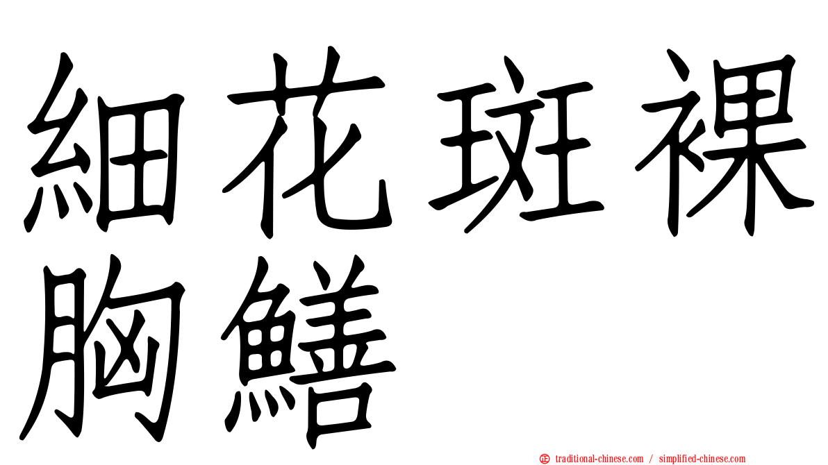 細花斑裸胸鱔