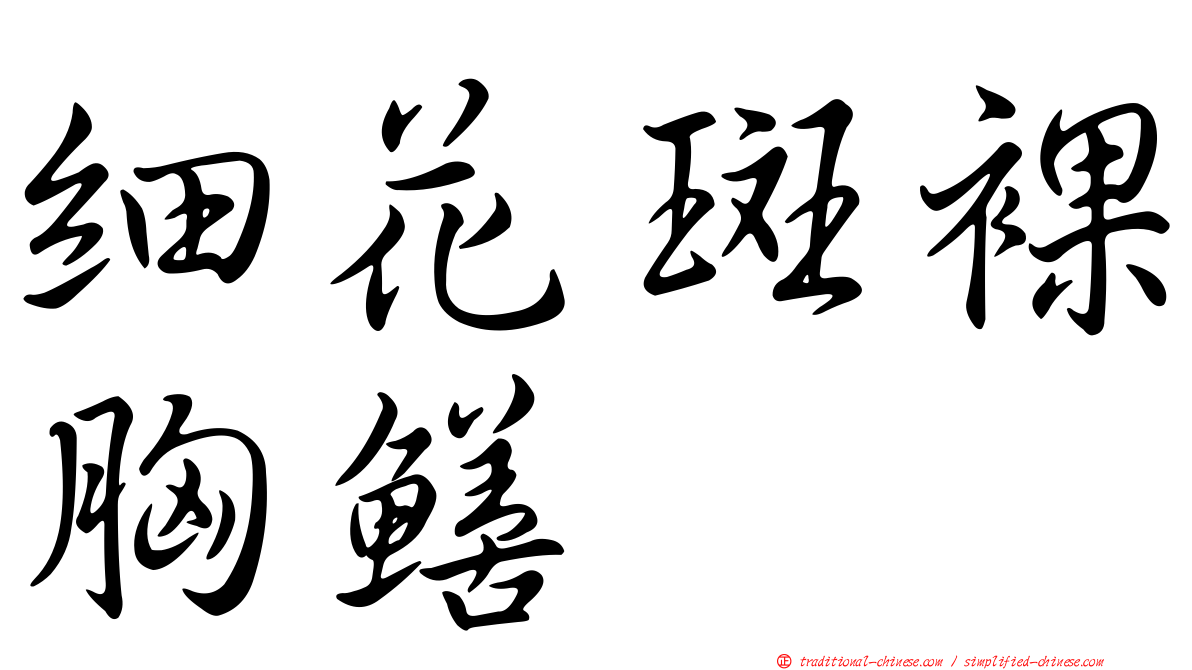 細花斑裸胸鱔