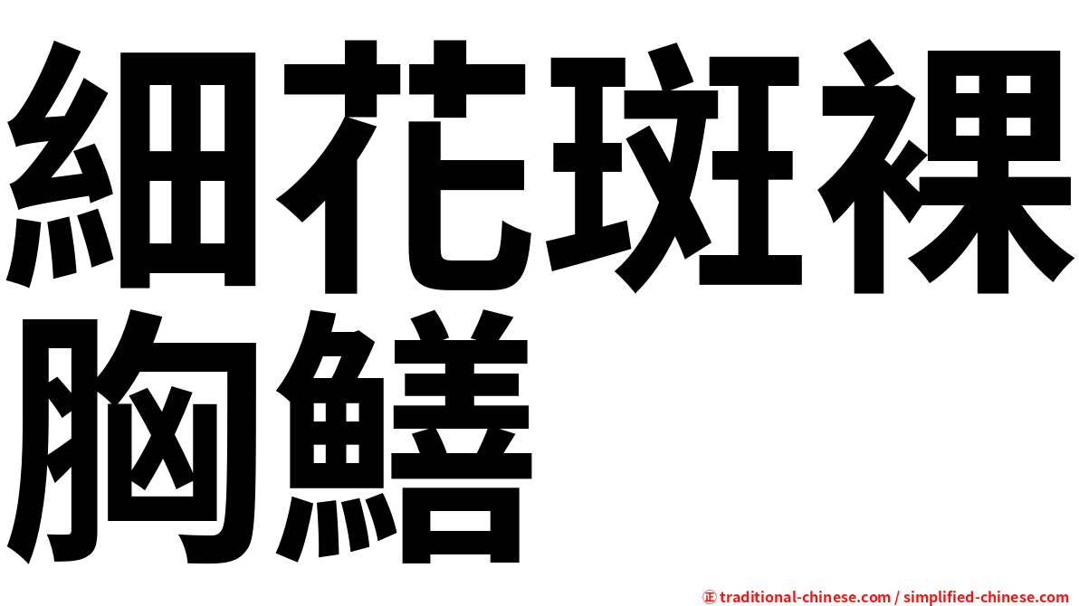 細花斑裸胸鱔