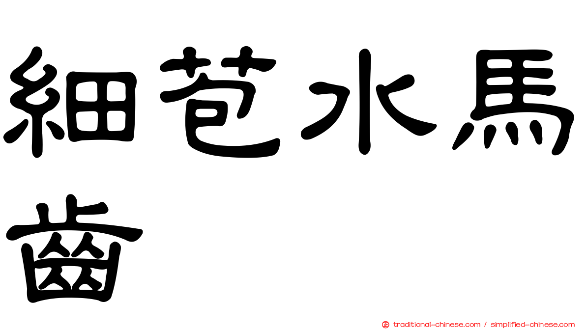 細苞水馬齒