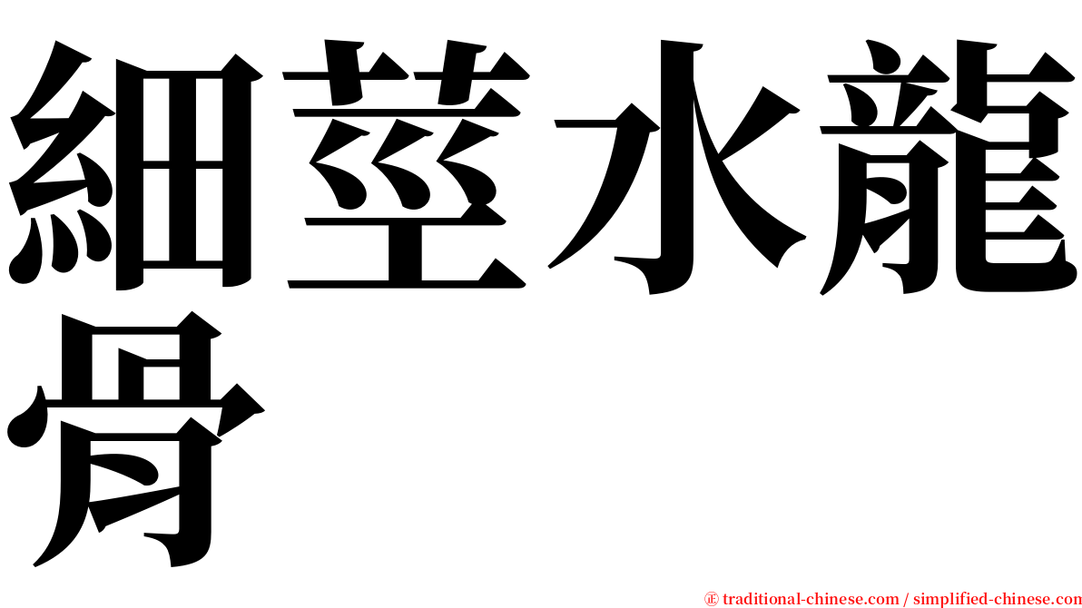細莖水龍骨 serif font