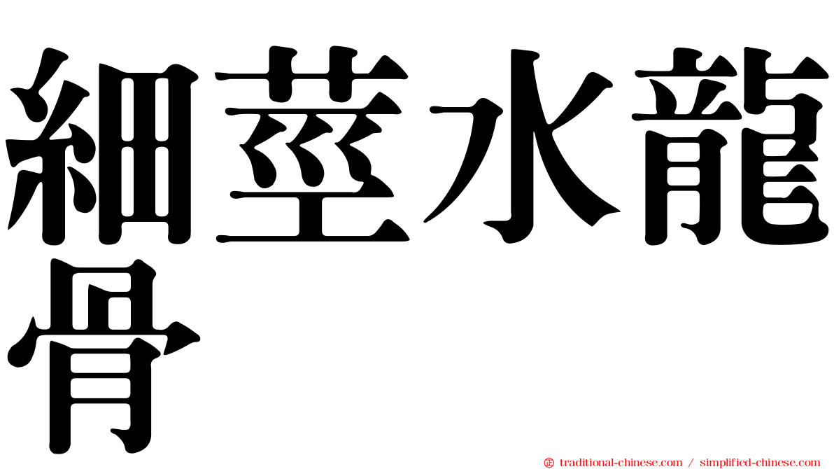 細莖水龍骨