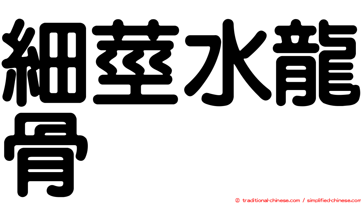 細莖水龍骨
