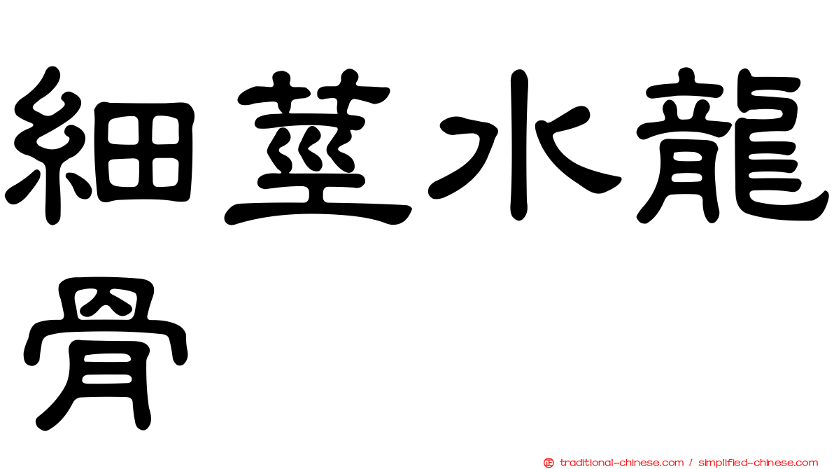 細莖水龍骨