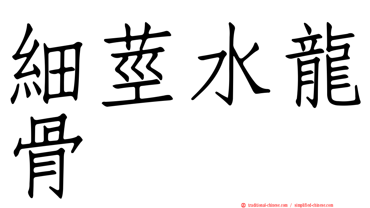 細莖水龍骨