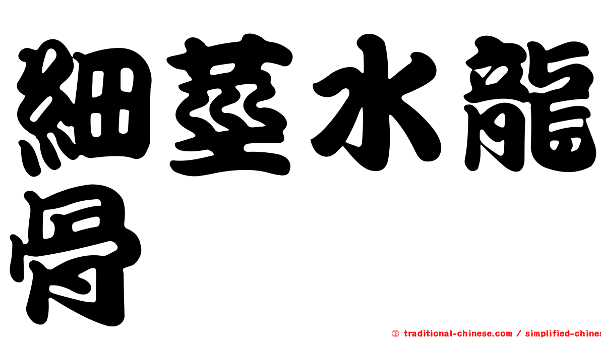 細莖水龍骨