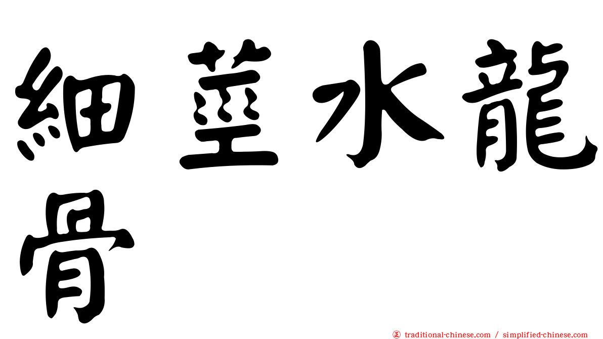細莖水龍骨