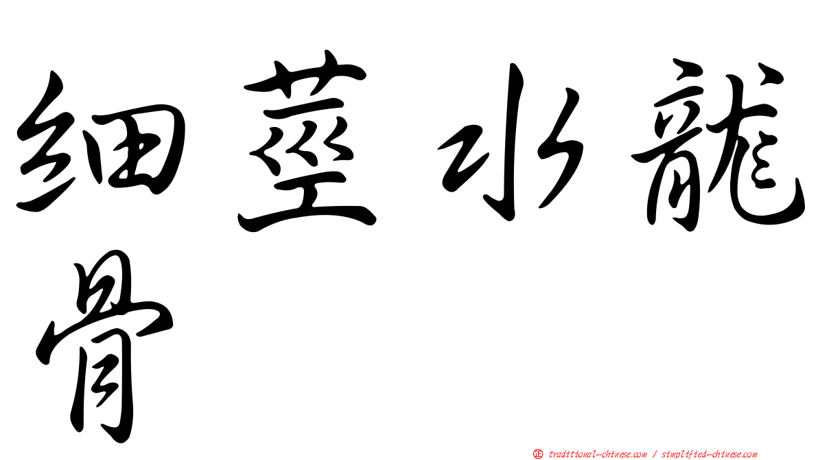 細莖水龍骨