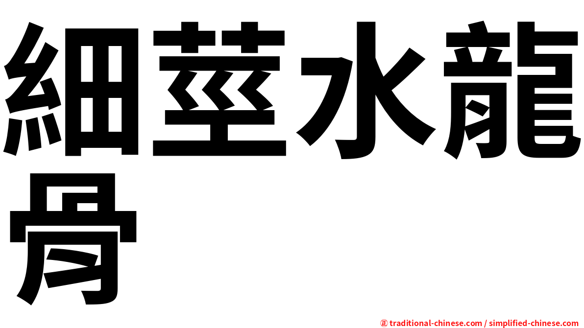 細莖水龍骨