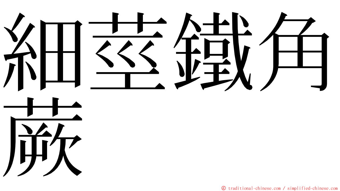 細莖鐵角蕨 ming font