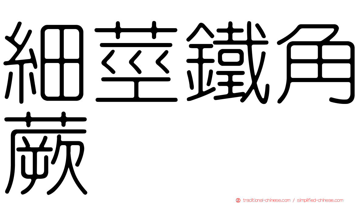 細莖鐵角蕨