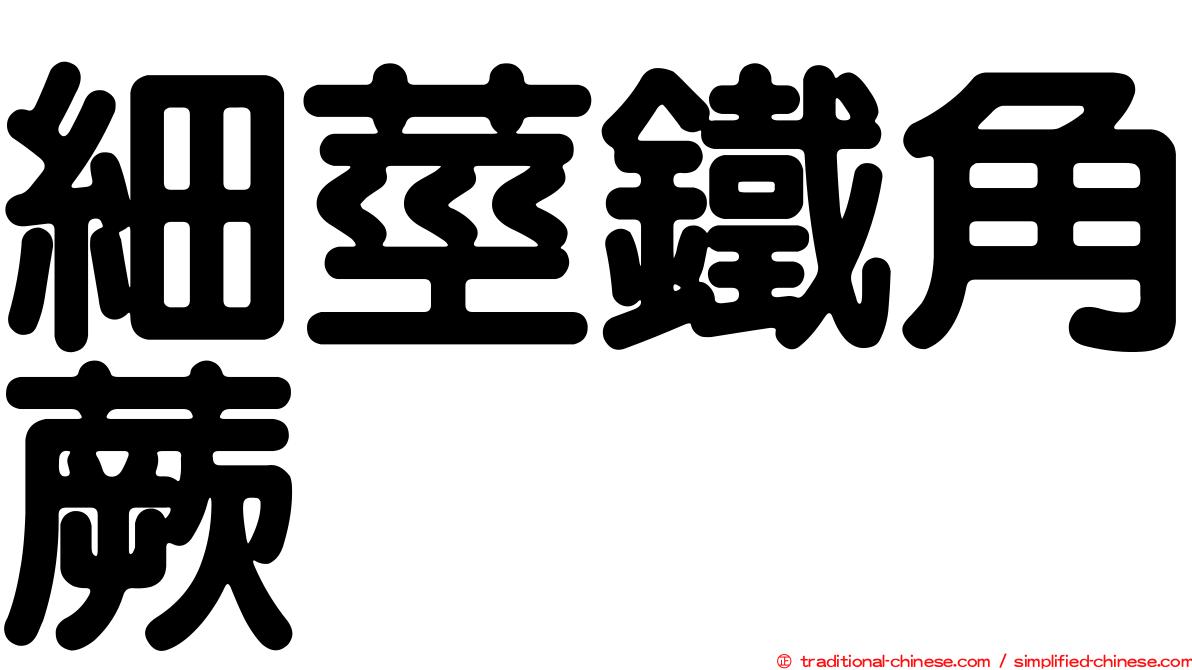 細莖鐵角蕨