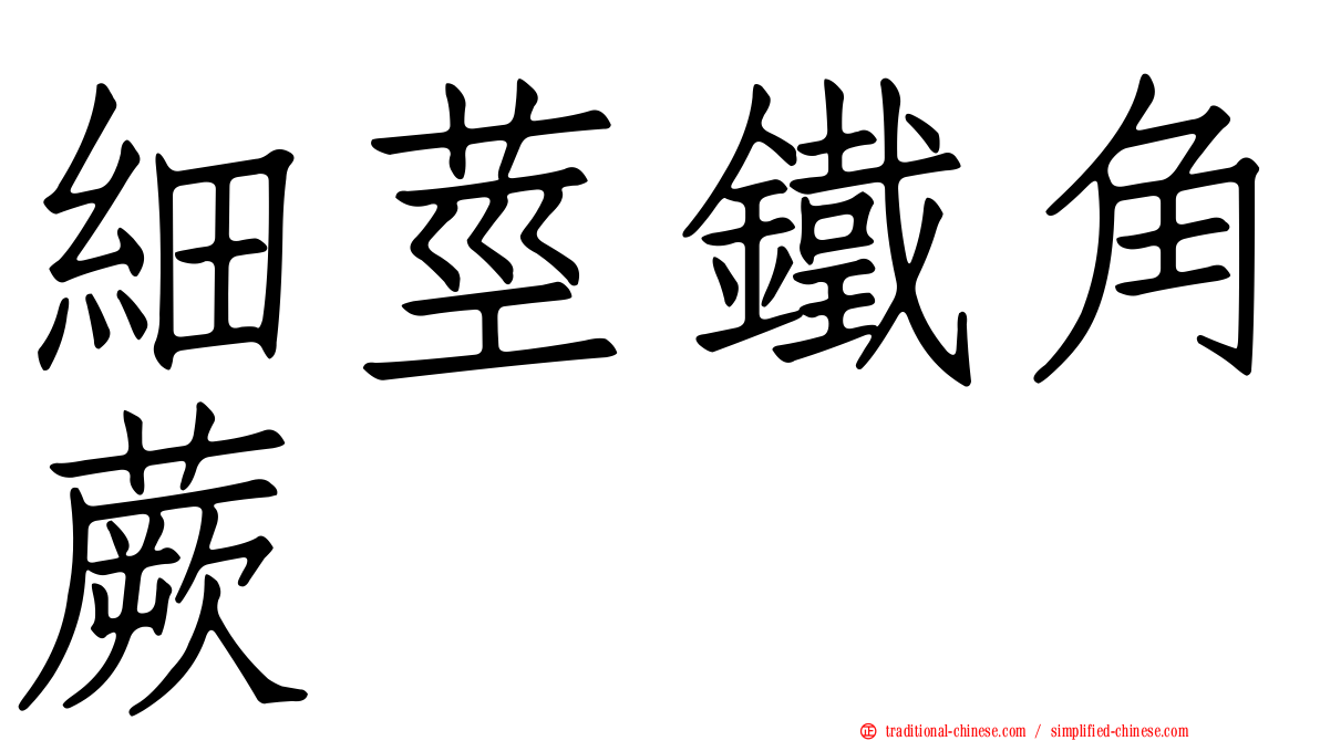 細莖鐵角蕨