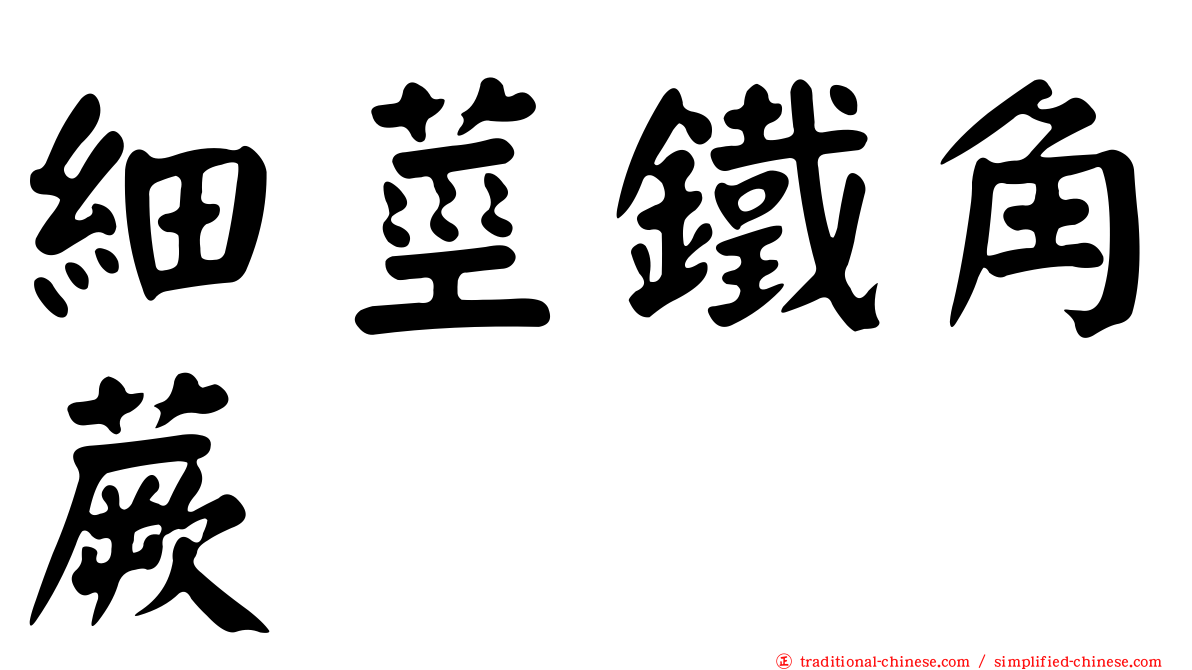 細莖鐵角蕨