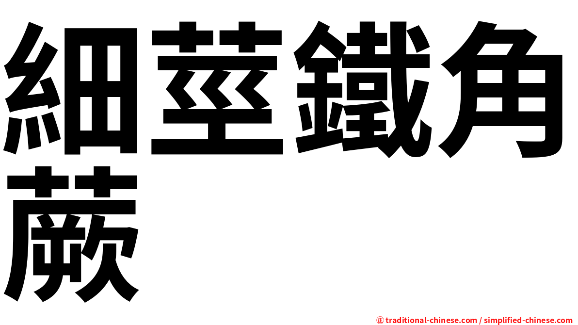 細莖鐵角蕨