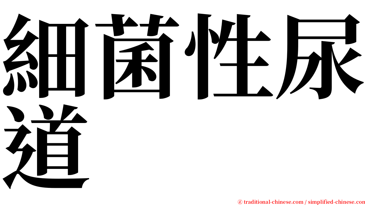 細菌性尿道 serif font