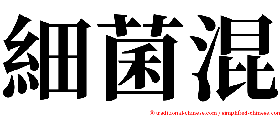 細菌混 serif font