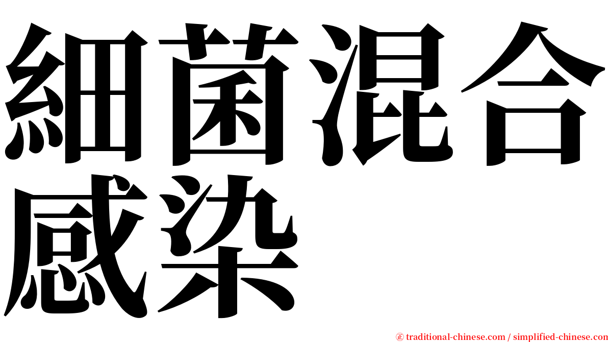 細菌混合感染 serif font