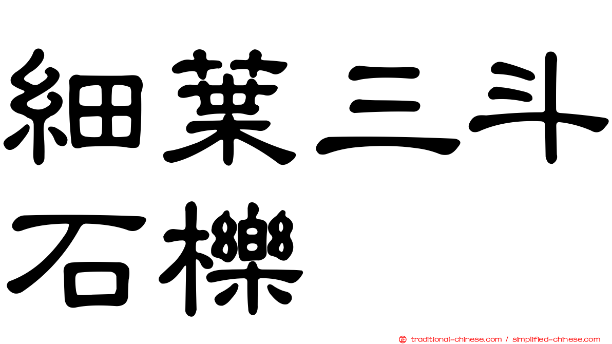 細葉三斗石櫟