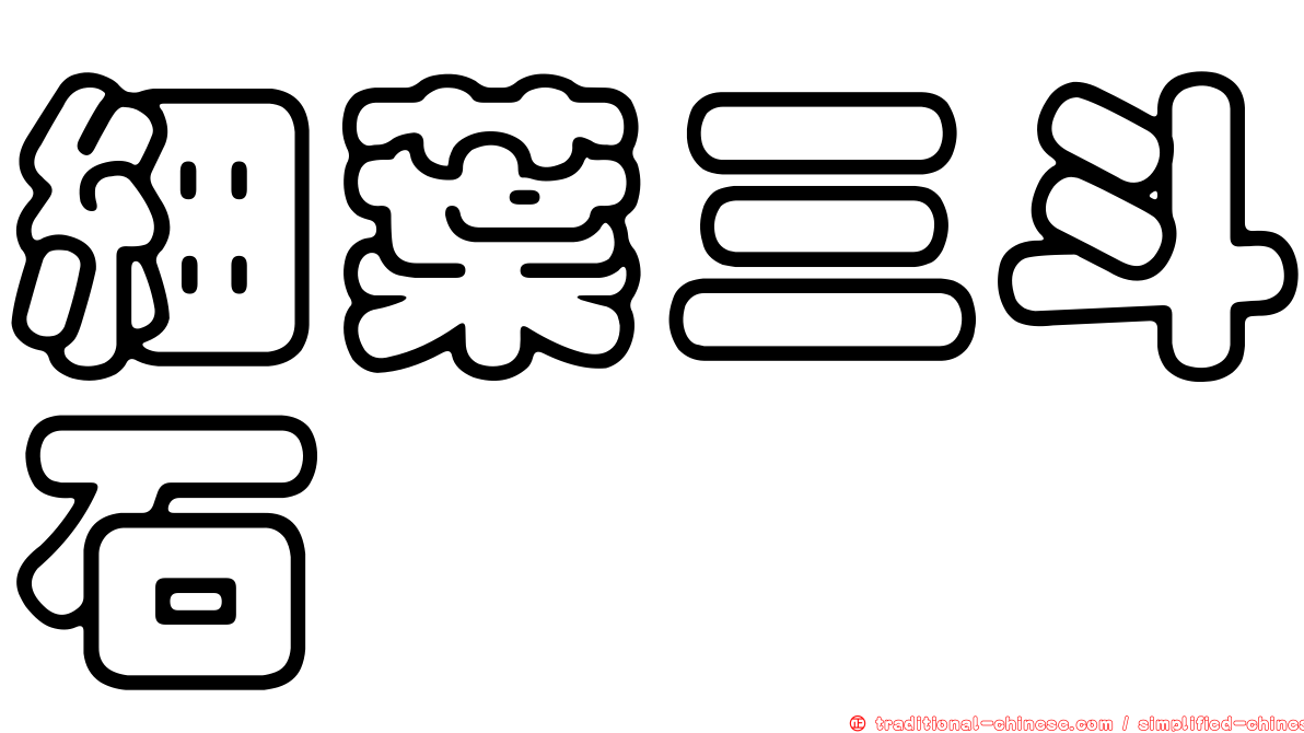 細葉三斗石櫟