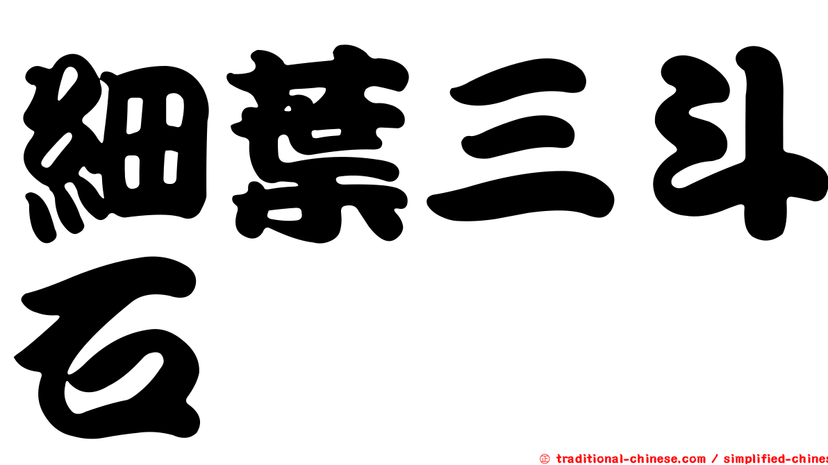 細葉三斗石櫟