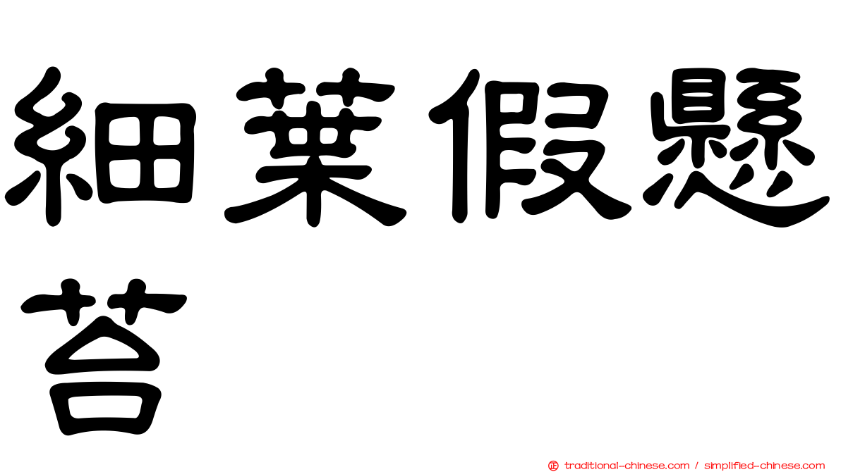 細葉假懸苔