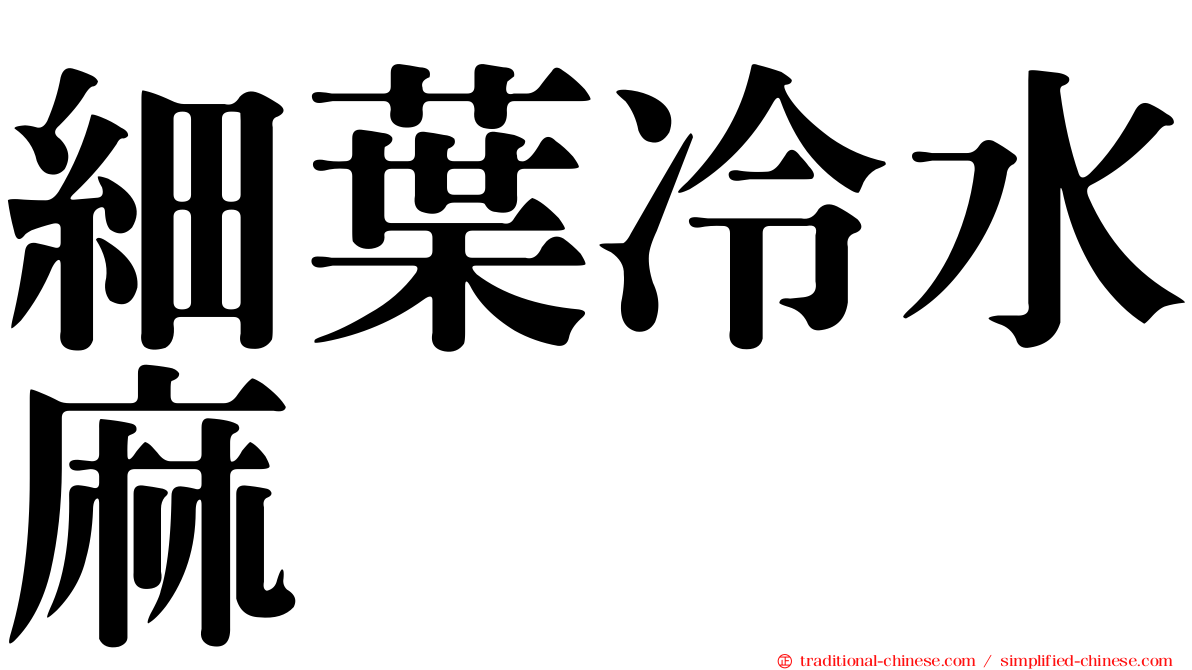 細葉冷水麻