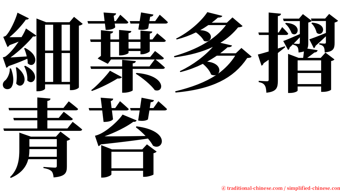 細葉多摺青苔 serif font