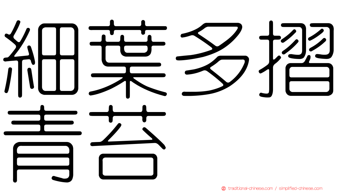 細葉多摺青苔