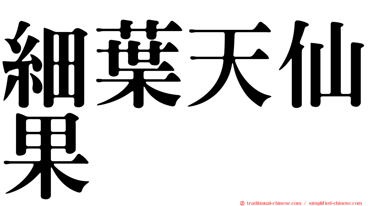 細葉天仙果
