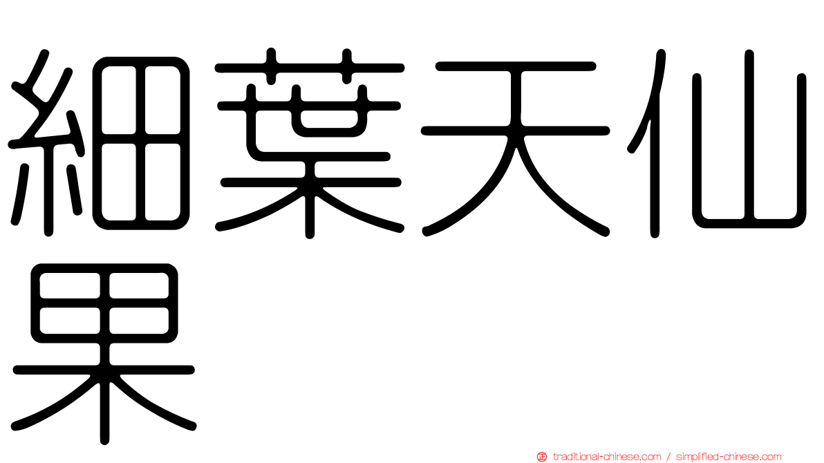 細葉天仙果