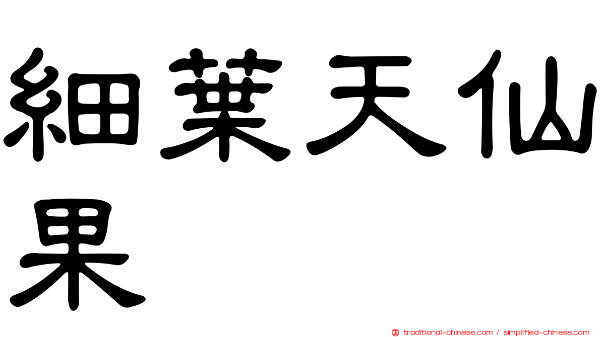 細葉天仙果