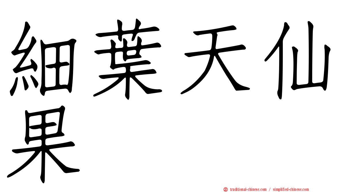 細葉天仙果