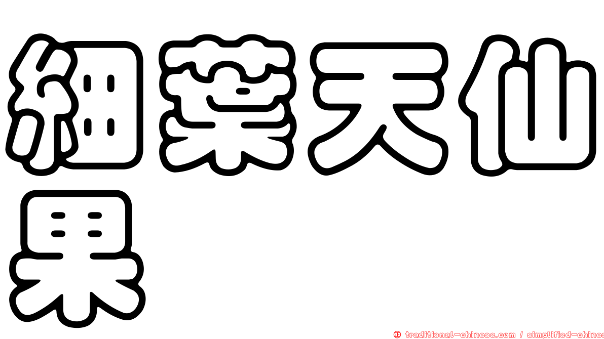 細葉天仙果