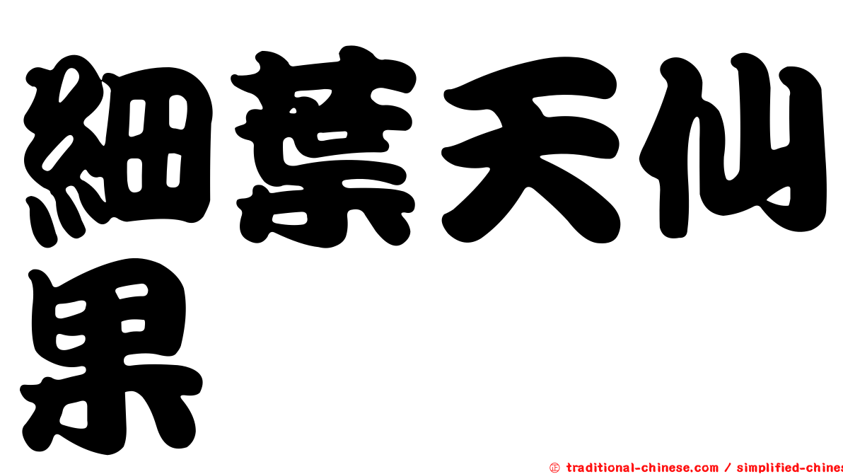 細葉天仙果