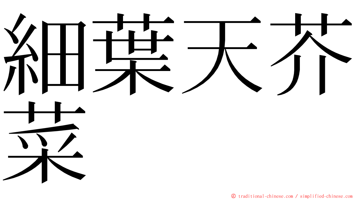 細葉天芥菜 ming font