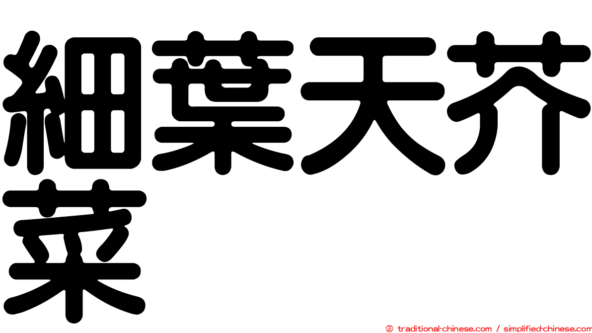 細葉天芥菜