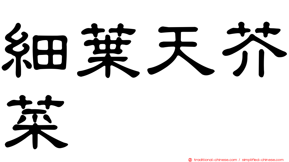 細葉天芥菜