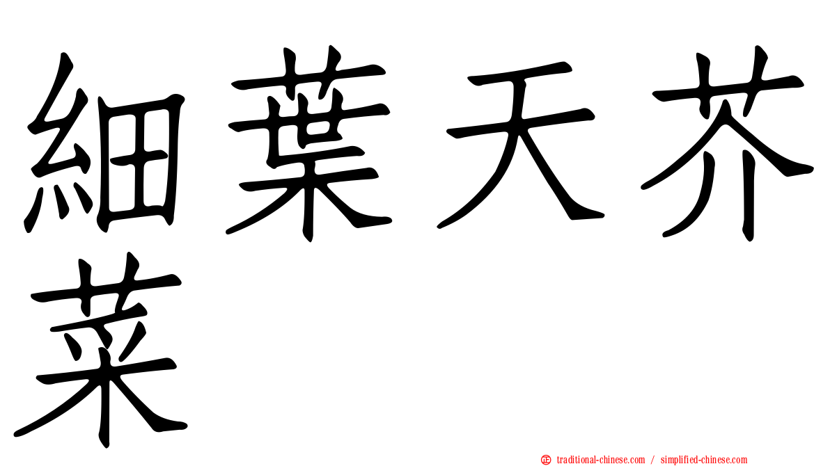 細葉天芥菜