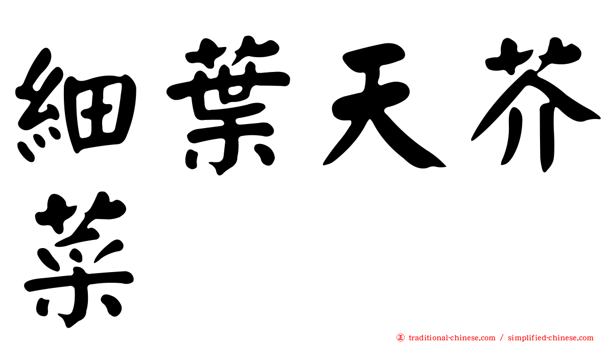 細葉天芥菜