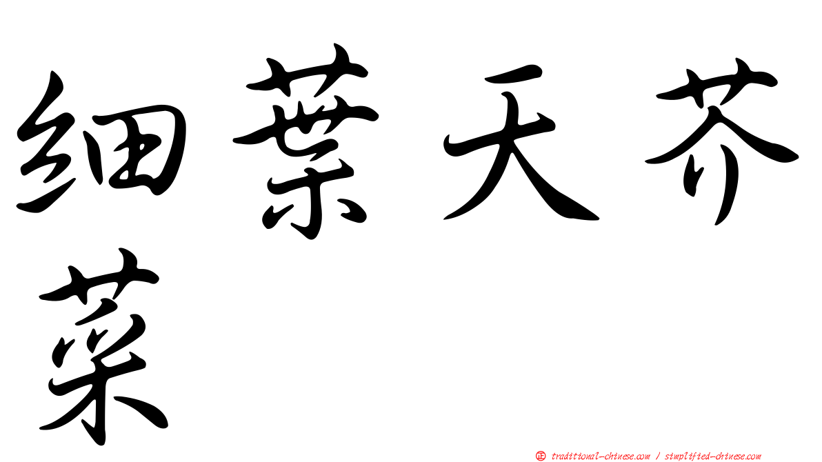 細葉天芥菜