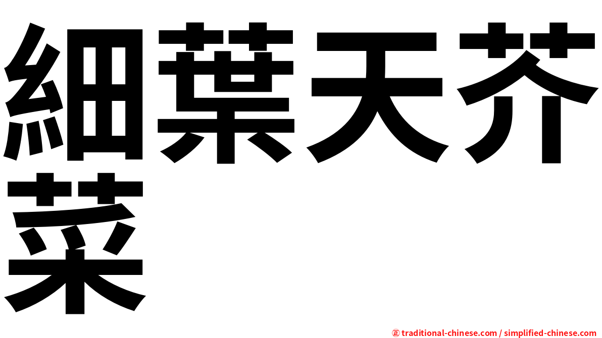 細葉天芥菜