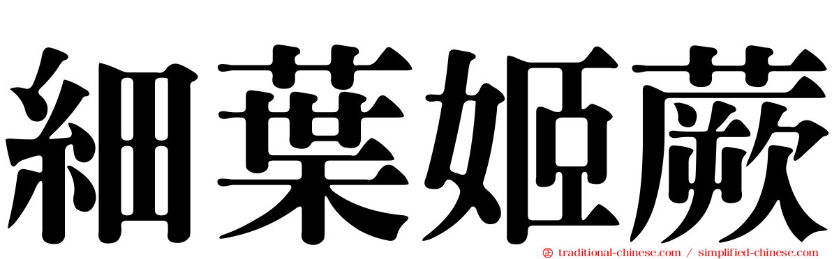 細葉姬蕨