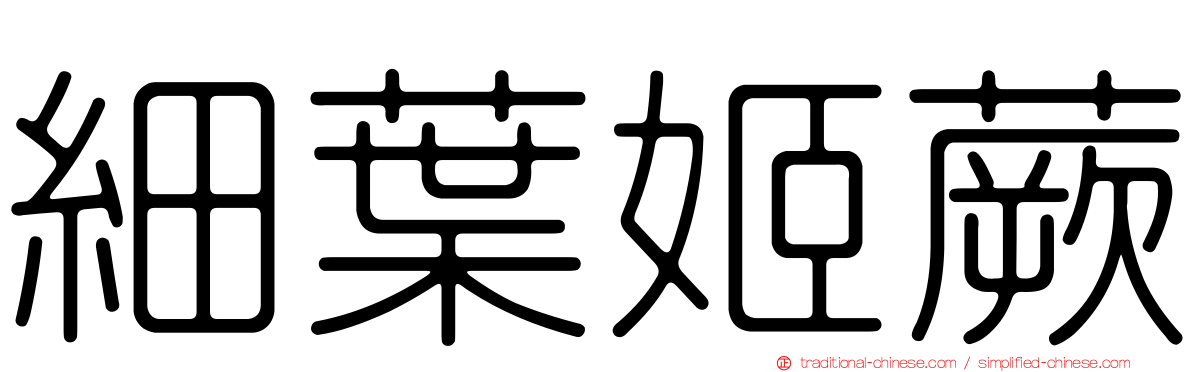 細葉姬蕨