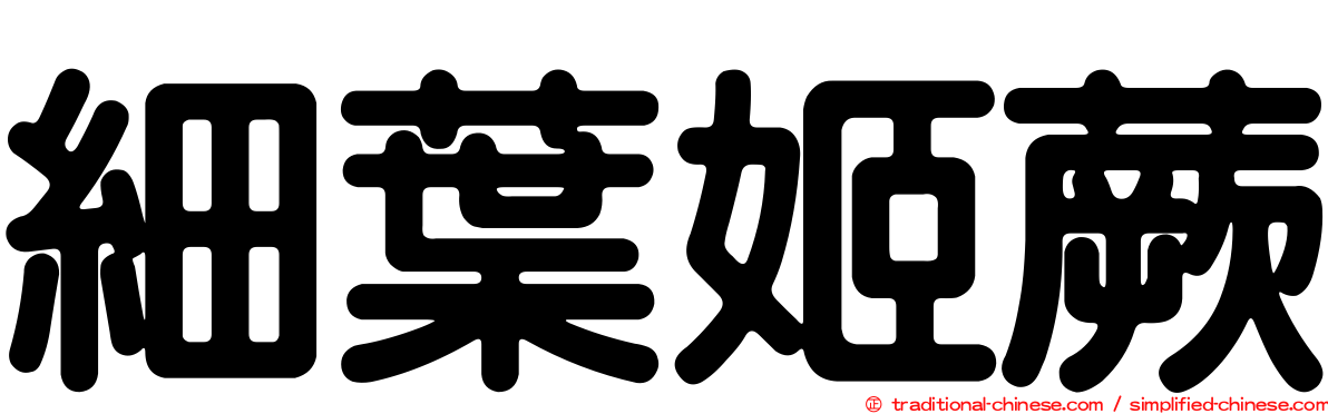 細葉姬蕨