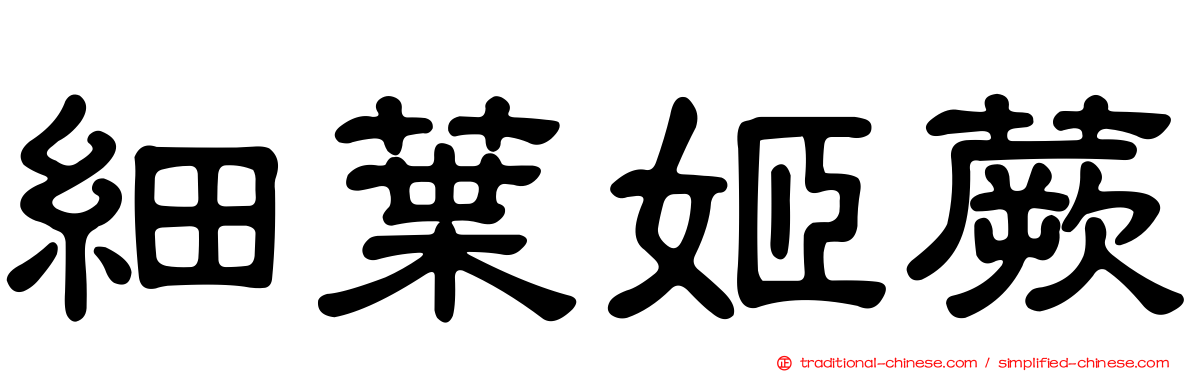 細葉姬蕨