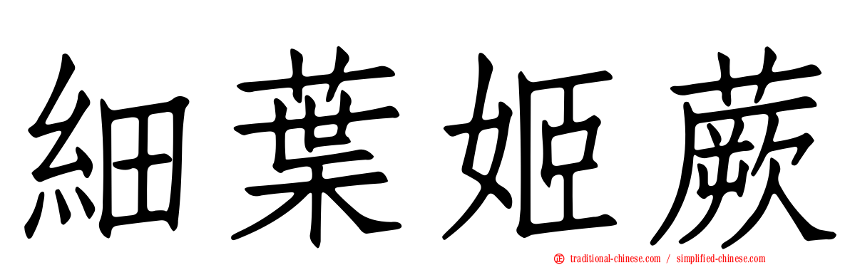 細葉姬蕨