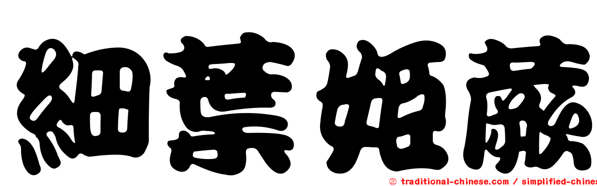細葉姬蕨