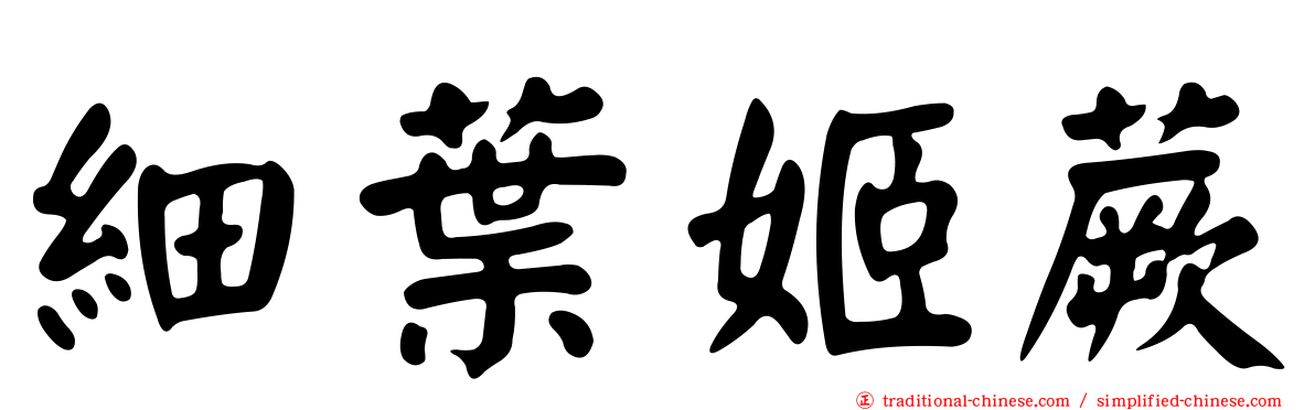 細葉姬蕨