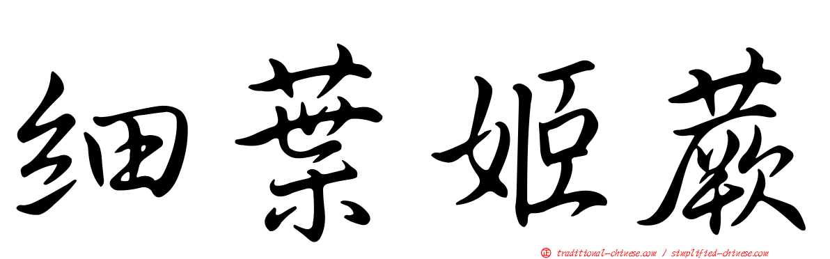 細葉姬蕨